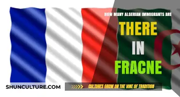 Algerian Immigration in France: Understanding the Size and Impact