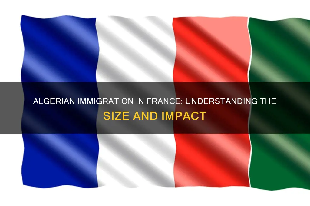 how many algerian immigrants are there in fracne