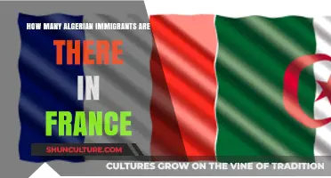 Algerian Immigration to France: Understanding the Size and Impact