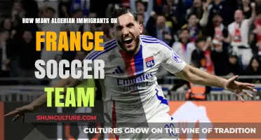 Algerian Heritage in French Football: Exploring the Team's Immigrant Roots
