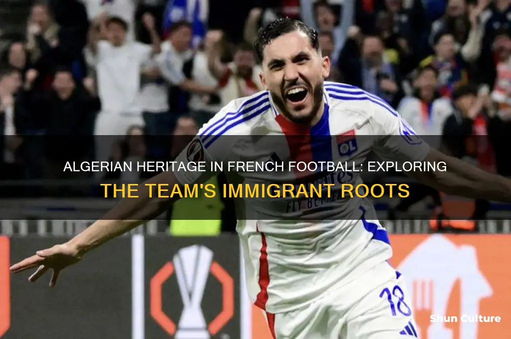 how many algerian immigrants on france soccer team