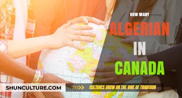 Algerian Community in Canada: Population Insights and Cultural Impact