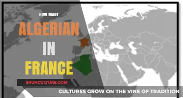 Algerian Presence in France: Exploring the Size and Impact of the Community
