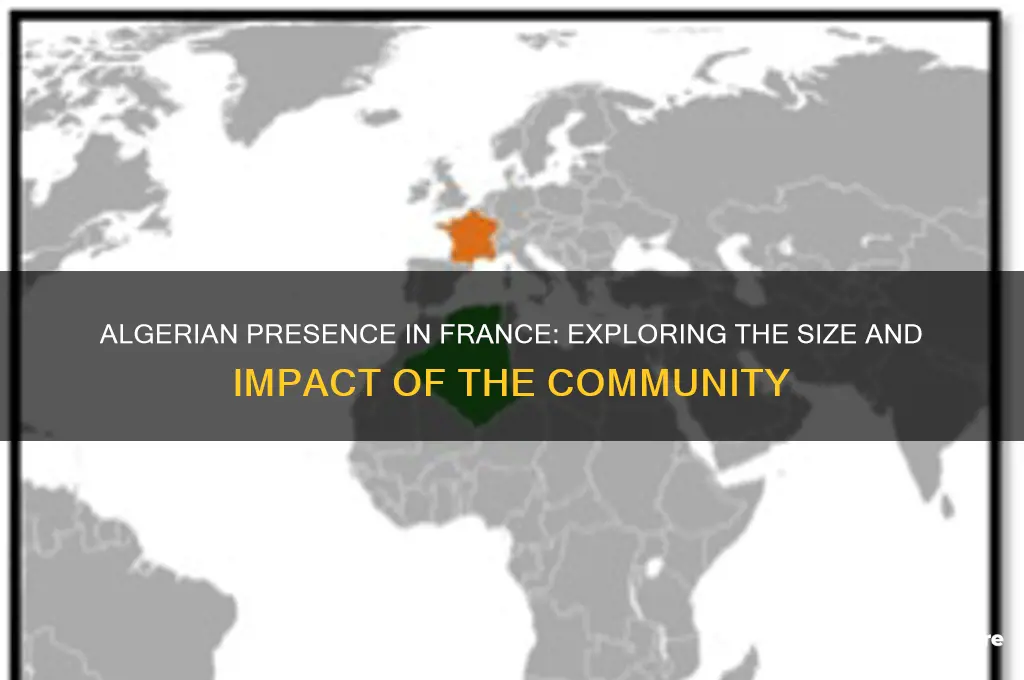 how many algerian in france