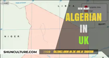 Algerian Community in the UK: Size, Growth, and Impact