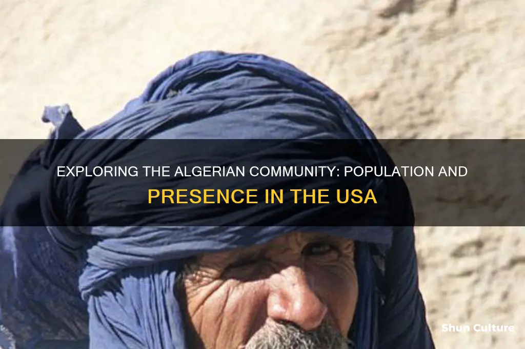 how many algerian in usa
