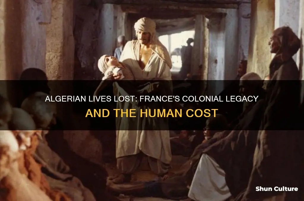 how many algerian killed by france