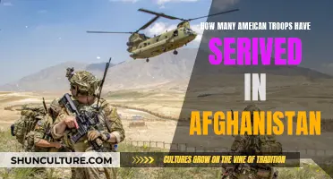 American Commitment: A Look at the Troop Numbers in Afghanistan