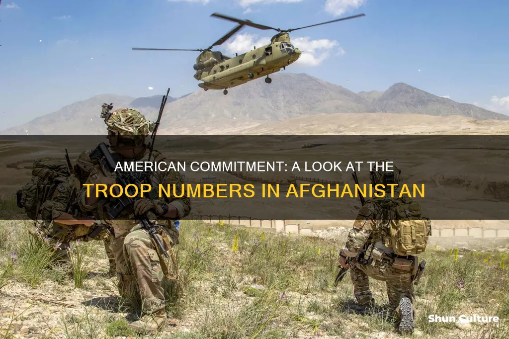 how many ameican troops have serived in afghanistan