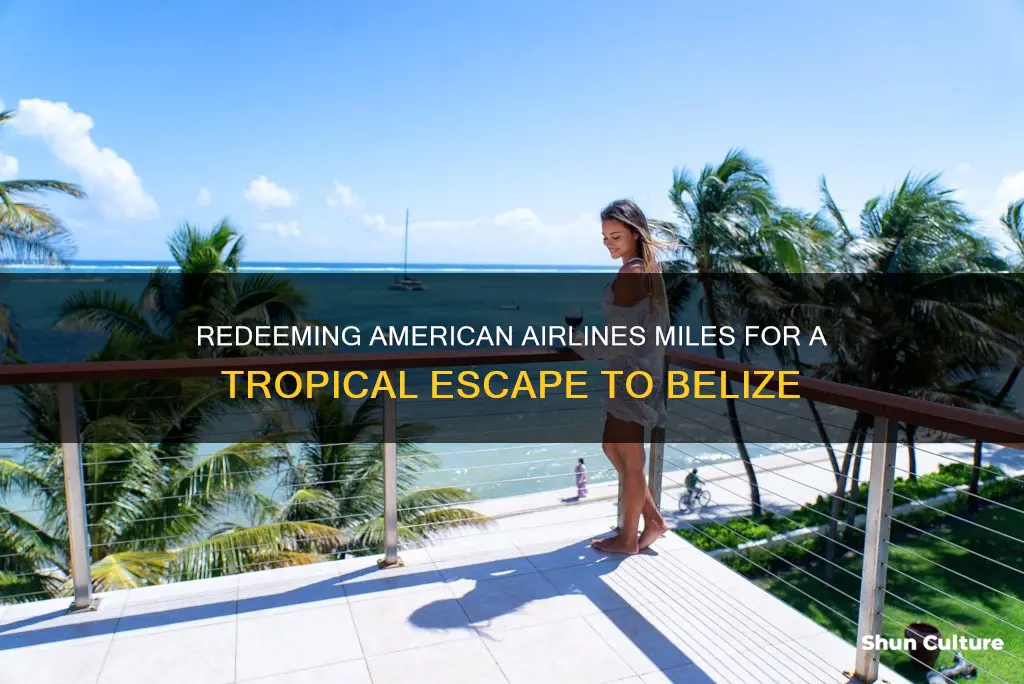 how many american airlines points to belize from phoenix