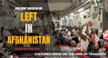 The Forgotten Americans in Afghanistan: A Troubling Number Still Stranded