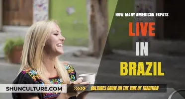 American Expats in Brazil: Exploring the Size of the Community
