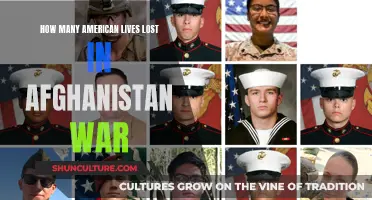 The Human Cost of War: Reflecting on American Lives Lost in Afghanistan