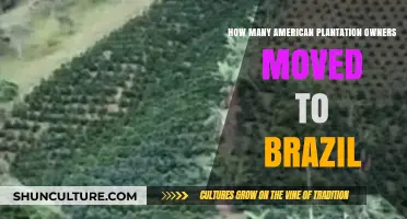 American Plantation Owners' Migration to Brazil: A Historical Overview