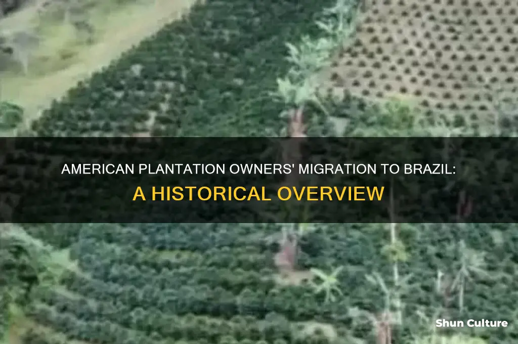 how many american plantation owners moved to brazil