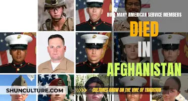 The Human Cost of War: Remembering the Fallen in Afghanistan