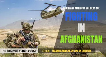 American Boots on the Ground: Examining the U.S. Military Presence in Afghanistan