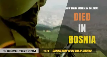 American Soldiers' Sacrifice: Bosnia War Casualties and Legacy