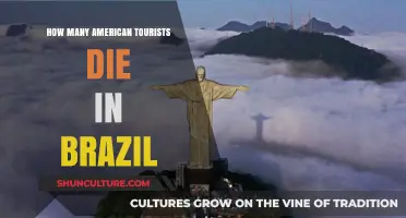 American Tourists in Brazil: Understanding Fatality Rates and Safety Tips