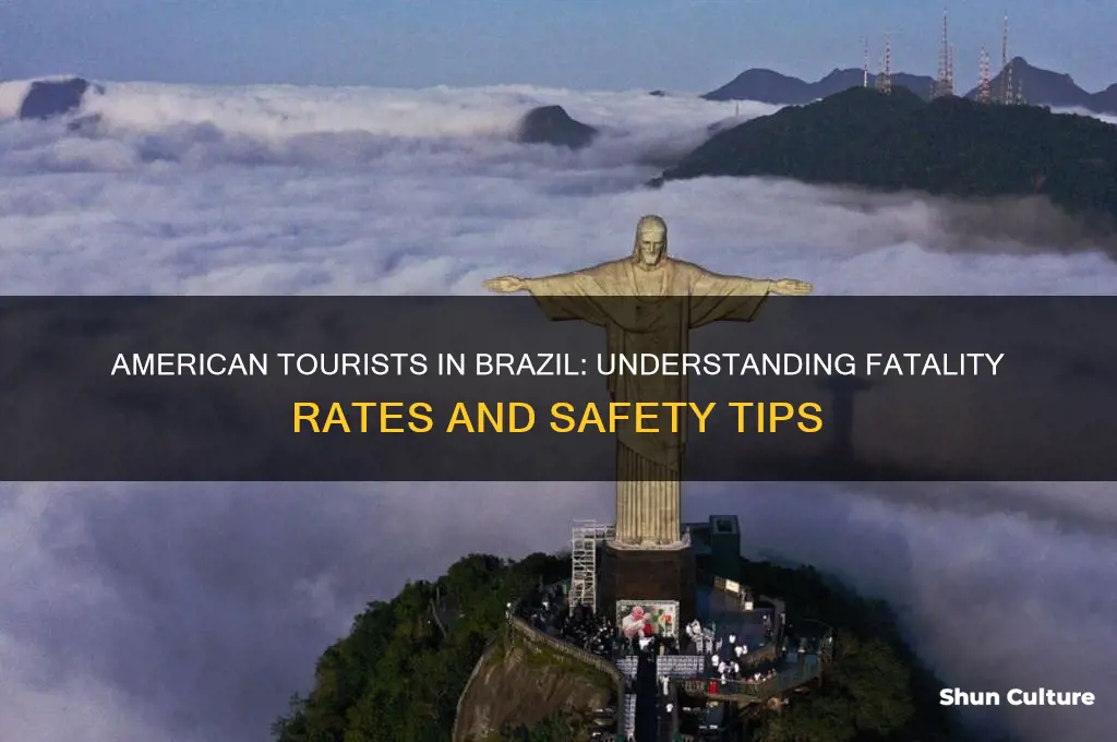 how many american tourists die in brazil