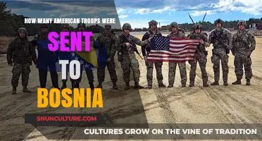 American Troops in Bosnia: Deployment Numbers and Historical Context
