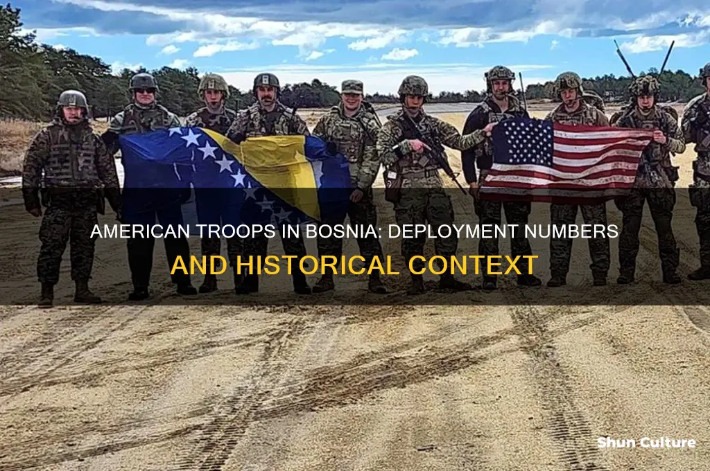how many american troops were sent to bosnia