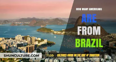 Exploring the Brazilian-American Population: How Many Americans Are from Brazil?