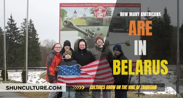 Americans in Belarus: Population Insights