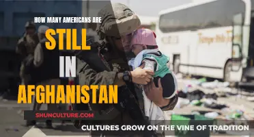 Left Behind: Unraveling the Plight of Americans Stranded in Afghanistan