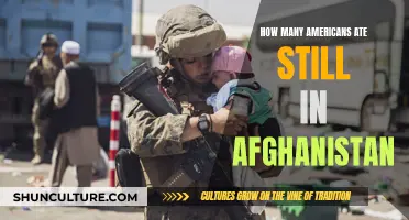 Left Behind: The Americans Stranded in Afghanistan