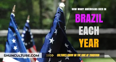 Annual American Fatalities in Brazil: Understanding the Statistics and Trends