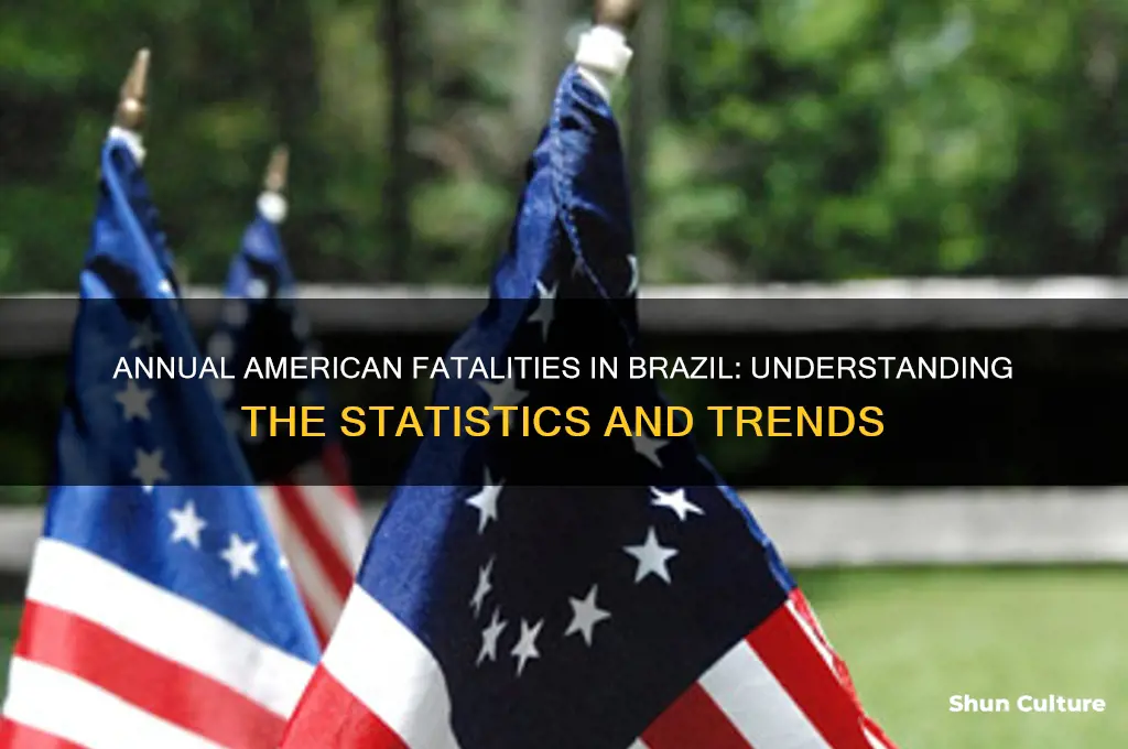 how many americans died in brazil each year