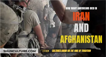 American Casualties in Iran and Afghanistan: A Human Cost