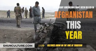 Deadly Year: US Military Casualties in Afghanistan Spike in 2024