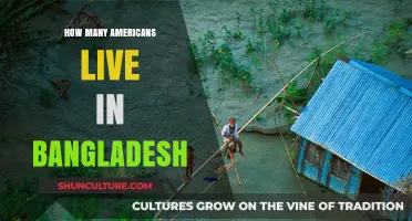 Exploring the American Expat Community in Bangladesh: Numbers and Insights