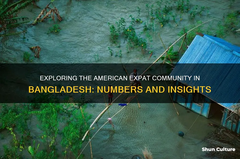 how many americans live in bangladesh