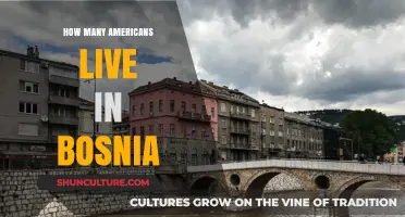 Exploring the American Expat Community in Bosnia: Size and Insights