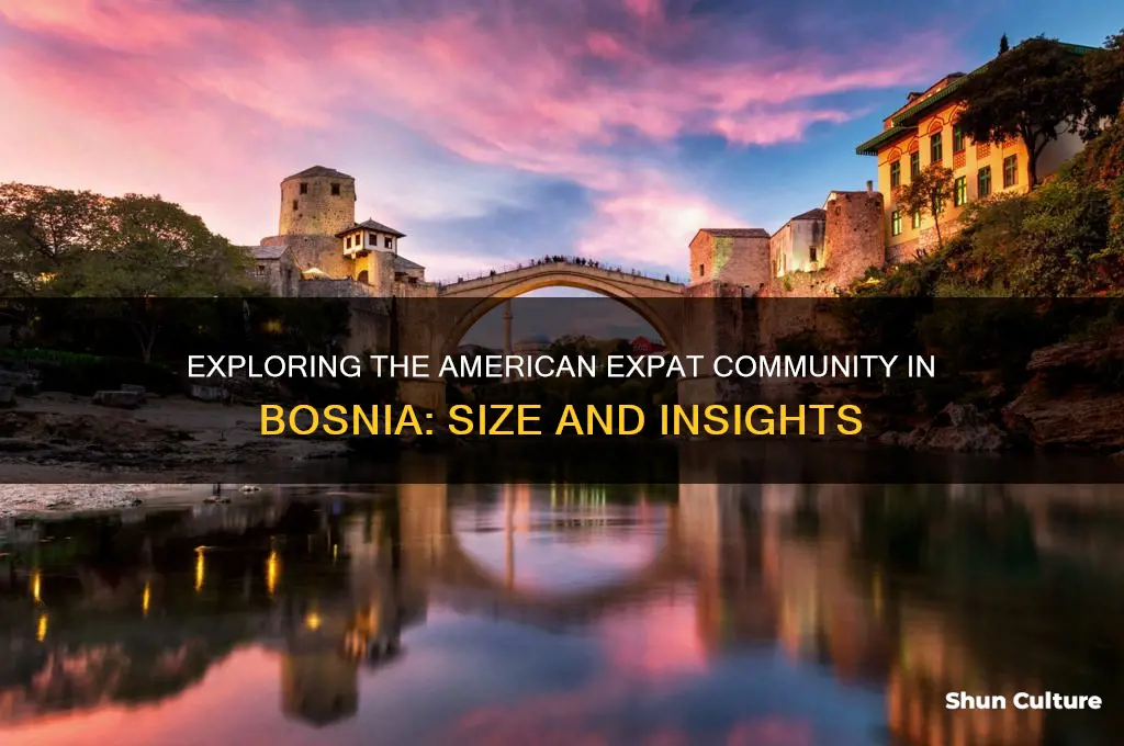 how many americans live in bosnia