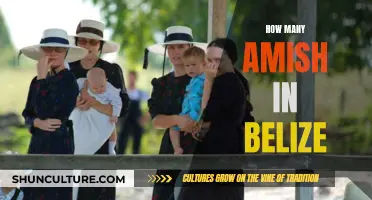 The Surprising Amish Presence in Belize