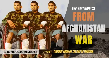 The Human Cost of War: Examining the Number of Amputees from the Afghanistan Conflict