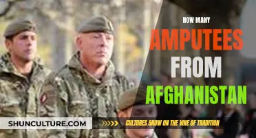 The Human Cost of War: Counting Afghanistan's Amputees