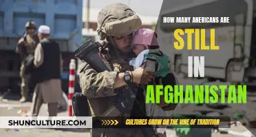 Left Behind: Unraveling the Number of Americans Stranded in Afghanistan