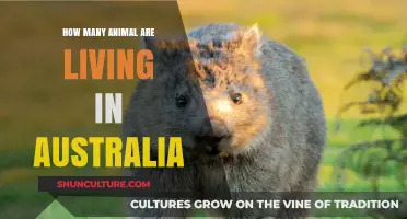 Discover Australia's Wildlife: Population and Diversity