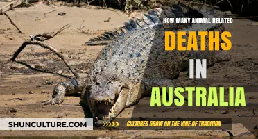 Animal-Related Deaths in Australia: A Startling Number