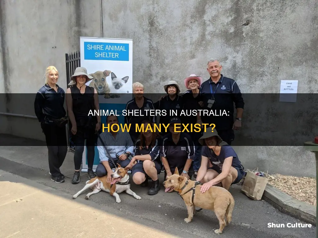 how many animal shelters are there in australia