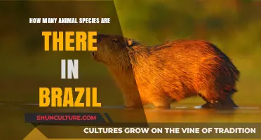 Exploring Brazil's Rich Biodiversity: A Count of Its Animal Species