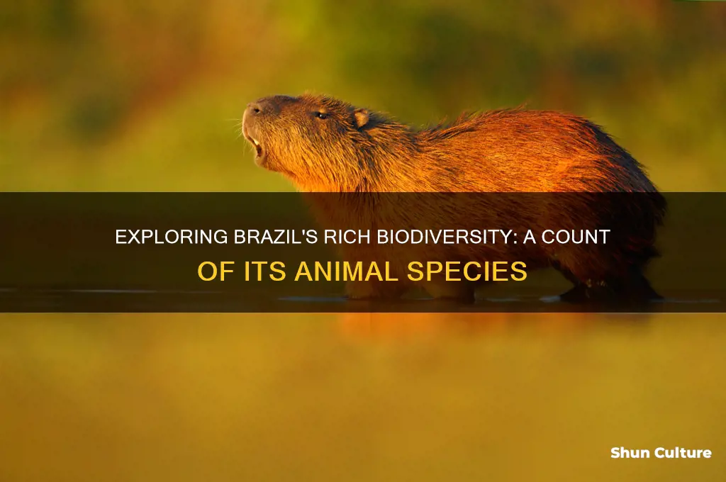 how many animal species are there in brazil