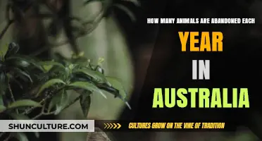Australia's Abandoned Animals: Annual Statistics and Urgent Need for Action