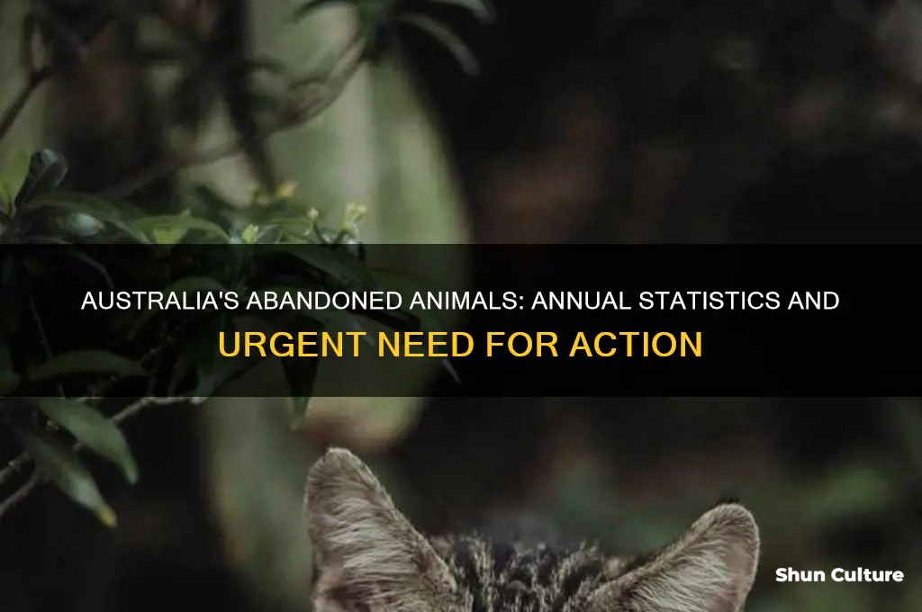 how many animals are abandoned each year in australia