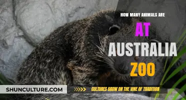 Explore Australia Zoo: Home to Numerous Animals